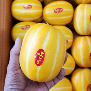 [산지직송 당도선별] 성주 꿀 참외 [혼합/꼬마/중과/대과] 선물용 로얄과 2kg 3kg 5kg 10kg, 1개, 13. 대과 2kg