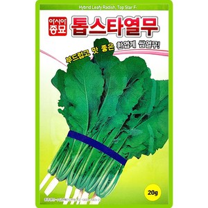 솔림텃밭몰 아시아종묘 열무씨앗 20g 톱스타열무 무씨앗 열무김치용 쌈용, 1개