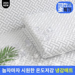 [25신제품] 곰표한일전자 Q-max 냉감매트 SS/QD 통기성 쿨패드 항균 세탁 가능한 냉감패드, 쿨매트, 화이트패턴