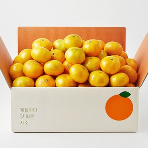 깨비농원 조생감귤 5kg, 1박스, 5kg (2S~M)랜덤발송