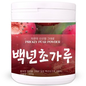 국내산 제주산 백년초 가루 300g 백년초열매차 백년초분말, 1개