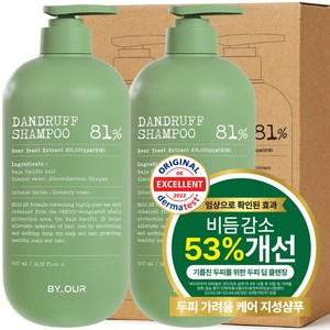 바이아우어 맥주효모 81만PPM 비듬 지성 탈모 샴푸, 2개, 1.017L