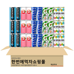 [한번에먹자쇼핑몰] 이온음료 캔세트 5종 혼합구성, 240ml