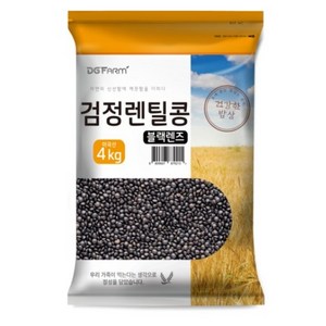 대구농산 검정렌틸콩 블랙렌즈, 4kg, 1개