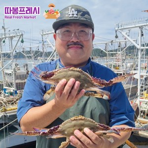 따봉프레시 살이꽉찬 황제 활 숯꽃게 태안 당일조업 빙장, 1개, 2kg