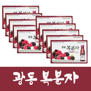 광동제약 복분자, 100ml, 100개