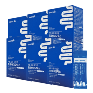 모유 유산균 비에날씬 bnr17 체지방감소 다이어트 HACCP 인증 락토바실러스 가세리 비에날17 식약처 프로바이오틱스 추천 분말 가루 내손안의마켓 머리끈 추가구성옵션 비엔날씬, 60g, 6개