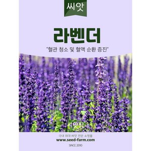 라벤다씨앗 (100립), 1개