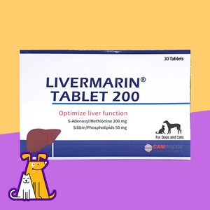 리버마린 200mg 30정 강아지 고양이 간영양제