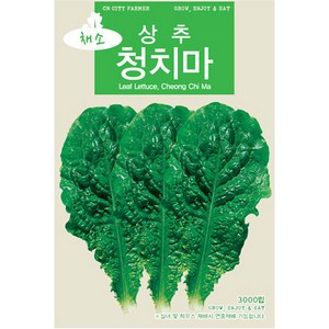 청농 청치마 상추씨앗 3000립 영농사, 1개