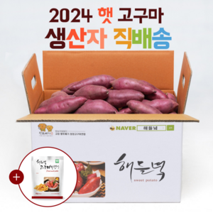 산지직송 해들녘 무농약 고창 꿀 고구마 3kg 5kg 10kg (한입/중/특상/왕), 해들녘고구마 5kg (한입 사이즈), 1개