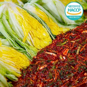 HACCP인증 전라도 김장김치담기 ( 절임배추 + 양념 ), 1개, 5kg