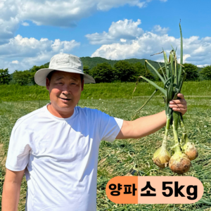 만근농장 국내산 햇양파, 1개, 5kg(소)