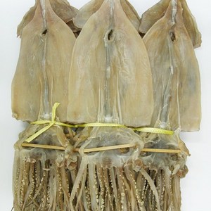 건어물천국 마른오징어 1kg(20마리) 건조오징어, 1kg, 1개