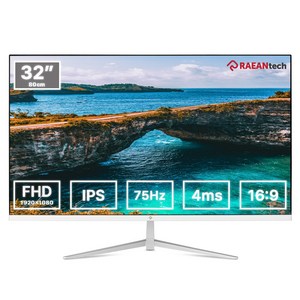 래안텍 FHD IPS 베젤리스 75Hz 모니터, 80cm, F3275T(일반)