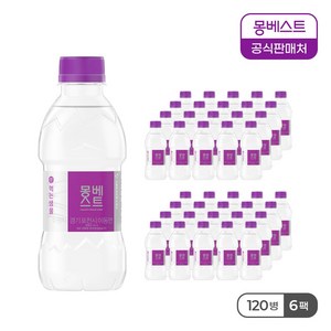 몽베스트 먹는샘물, 330ml, 120개