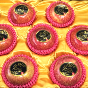 프리미엄 고당도 제철 사과, 1개, 10KG