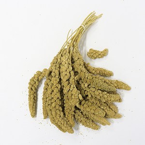 스프레이 밀렛 앵무새 간식, 1개, 500g