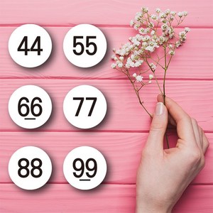 페토닷컴 화이트 디자인 여성의류 사이즈 스티커 100개 세트, 1세트, 99
