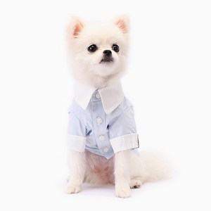 앨리스D 강아지옷 셔츠 블루_111007, 블루, 1개