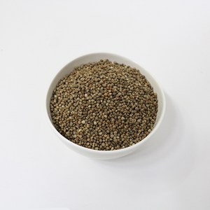 세척볶음 들깨 (500g) 앵무새 모이 먹이 사료, 500g, 1개