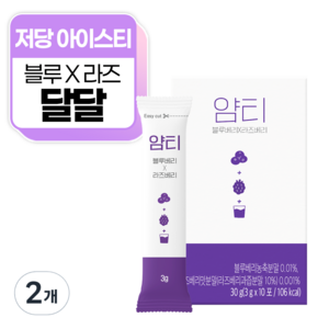 얌티 블루베리 라즈베리 아이스티분말, 3g, 10개입, 2개
