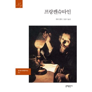 프랑켄슈타인, 문학동네, 글: 메리 셸리 frankenstolz 9 프랑켄슈타인, 문예출판사, 메리 셸리 저/임종기 역