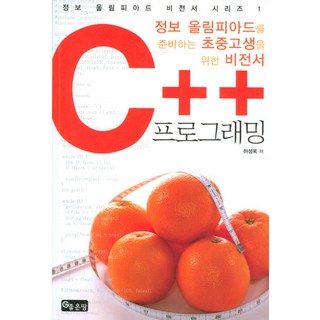 C++ 프로그래밍:정보 올림피아드를 준비하는 초중고생을 위한 비전서, 좋은땅 대표 이미지 - C++ 책 추천