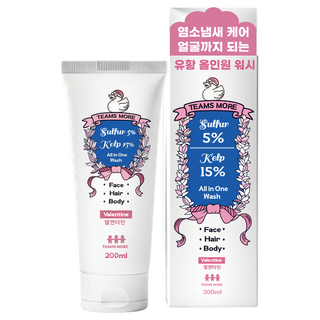 4. 팀스모어 올인원..