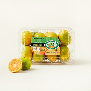 불로초 고당도12.5brix 감귤 랜덤과, 800g, 1개