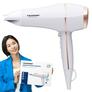 2. 블라우풍트 전문..