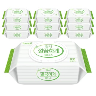 탐사 깔끔하게 물티슈 캡형 50g, 100개입, 10개