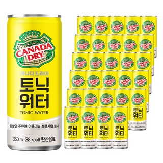 4. 캐나다드라이 토..