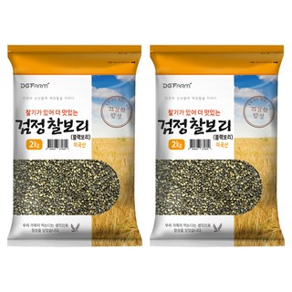 대구농산 건강한 밥상 검정찰보리 블랙보리, 2kg, 2개