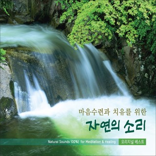 자연의 소리 2CD로 문제 해결하기