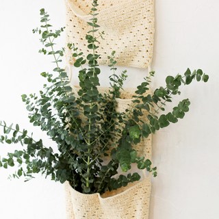 아임 플라워 유칼립투스 생화 꽃다발 혼합색상 1개 상품 이미지