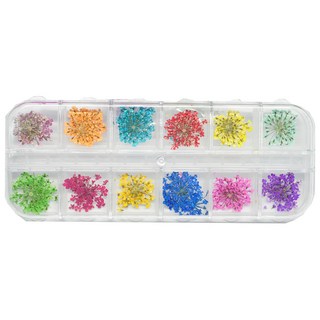 2. 바르나 드라이플..