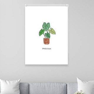 델리시사오 그림 실사 롤스크린 사용 모습