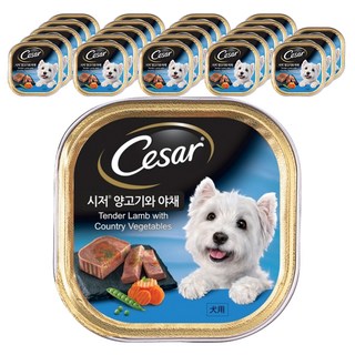 시저 1세 이상 강아지 주식캔, 양+야채, 100g, 24개
