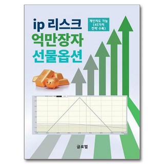 ip 리스크 억만장자 선물옵션, 글로벌, 김정수 대표 이미지 - 선물옵션 책 추천