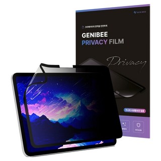 2. 지니비 나노흡착..