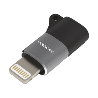POLYWELL Lightning to Type-C 蘋果轉接器，Type-C轉Lightning，適用iPhone 6-14系列，鋁合金外殼，輕巧便攜, 1個, 黑/灰色