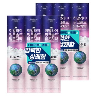 히말라야핑크솔트 바이옴 잇몸 구취전문 치약, 160g, 6개