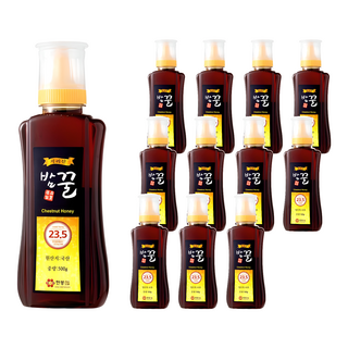 지리산한봉영농조합 국내산 밤꿀, 500g, 12개