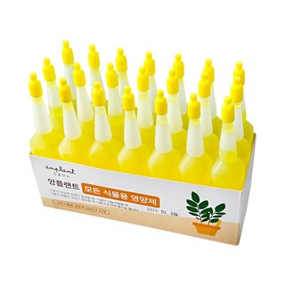 앙플랜트 모든 식물용 식물영양제 사용 모습