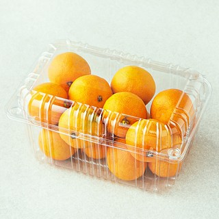 곰곰 당도선별 10brix 한입 감귤, 800g, 1팩