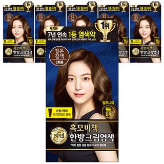 리엔 흑모비책 새치염색 크림, 짙은갈색, 6개