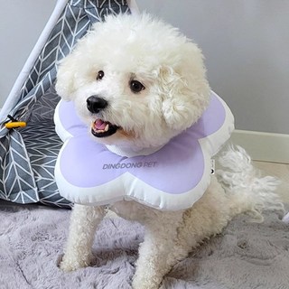 딩동펫 반려동물 데이지 꽃잎 넥카라, 블루, 1개