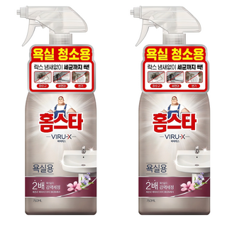 홈스타 바이럭스 세정제 욕실용, 750ml, 2개