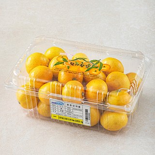 탐라황감 당도선별 10brix 감귤, 1.2kg(랜덤과), 1개